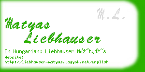 matyas liebhauser business card